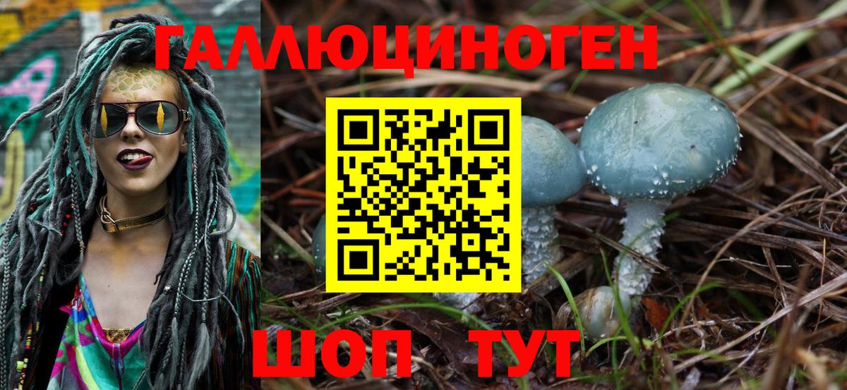 APVP Ростов Великий